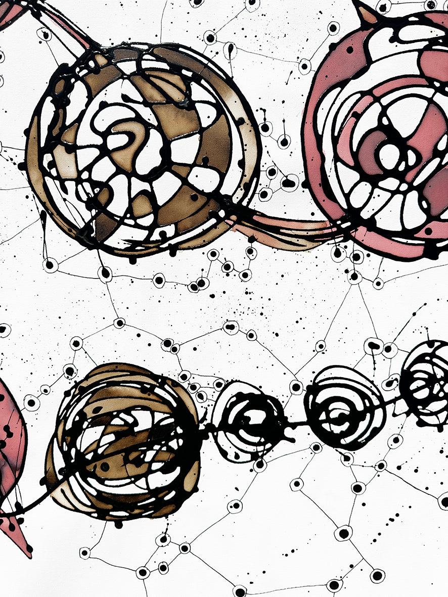 Cosmos