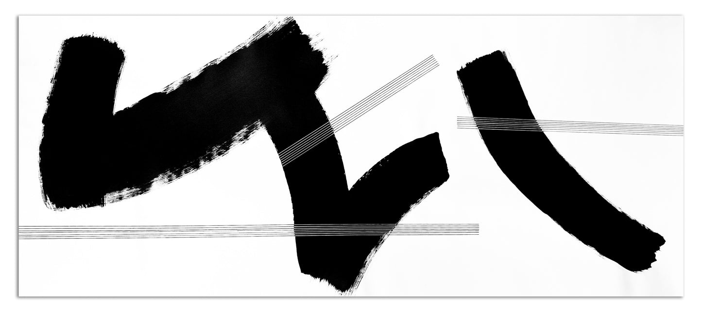 Alejandra Sieder-contemporary artist-B&W-wpi-145x58_hor_shadow.jpg
