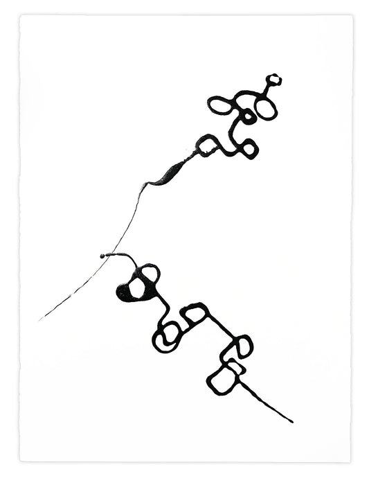 Alejandra Sieder-contemporary artist-Our Paths.jpg