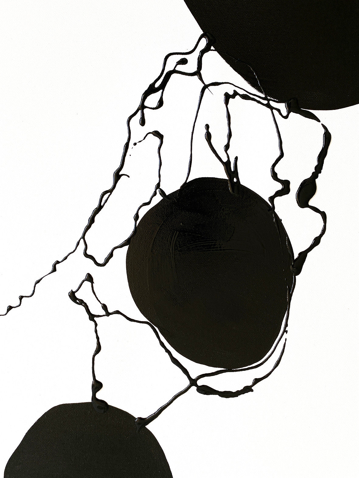 Alejandra Sieder-There is always someone who stands out from the crow_2.JPG