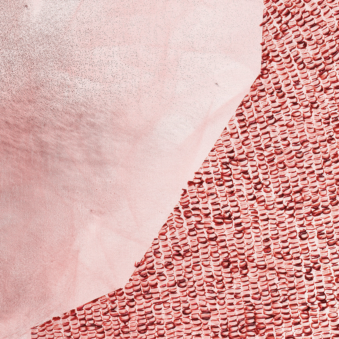 THE GROUND 2 REMEMBERS - PRINTS