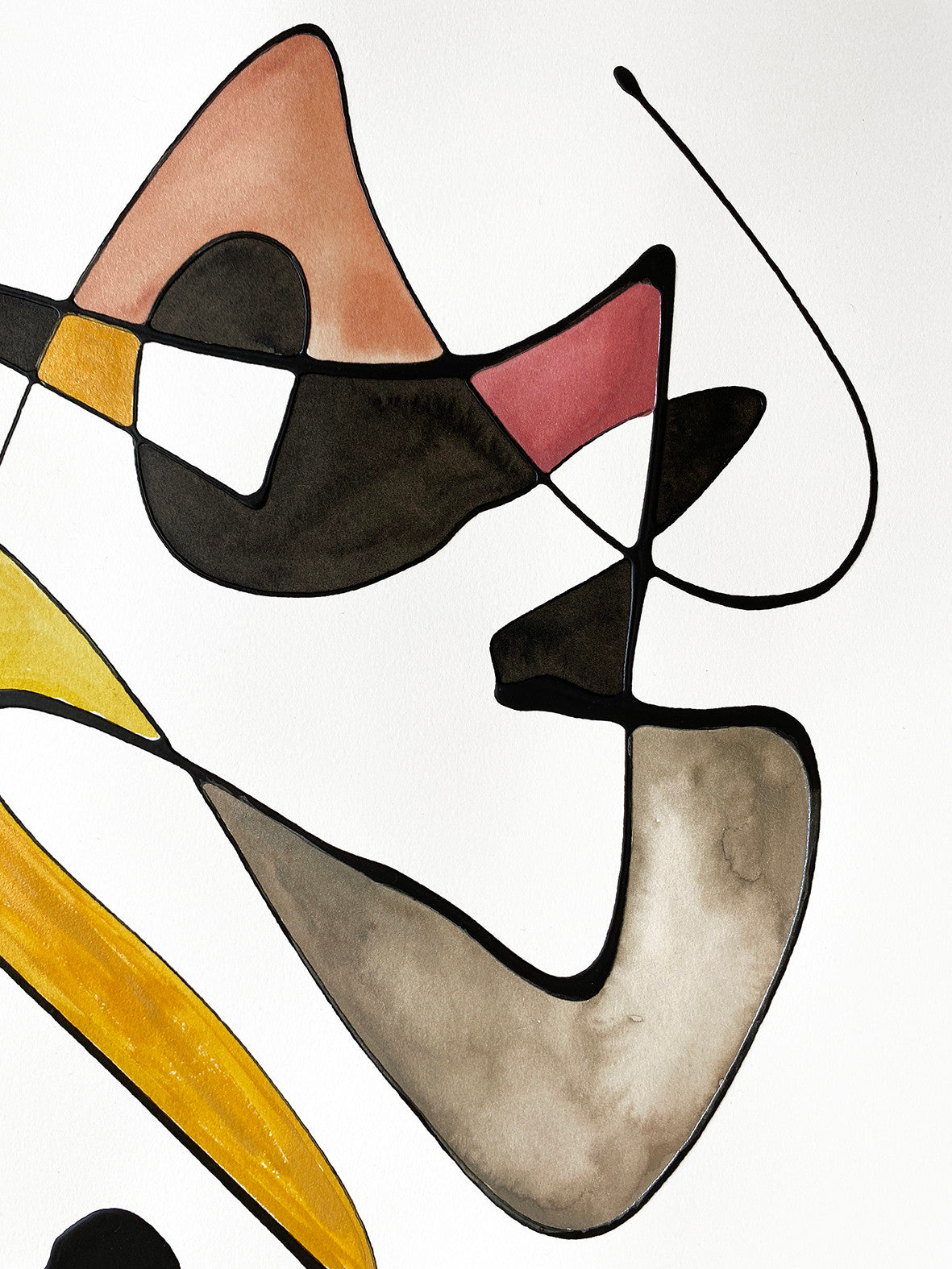 Alejandra Sieder-contemporary artist-Papagayo2_76x56cm.JPG